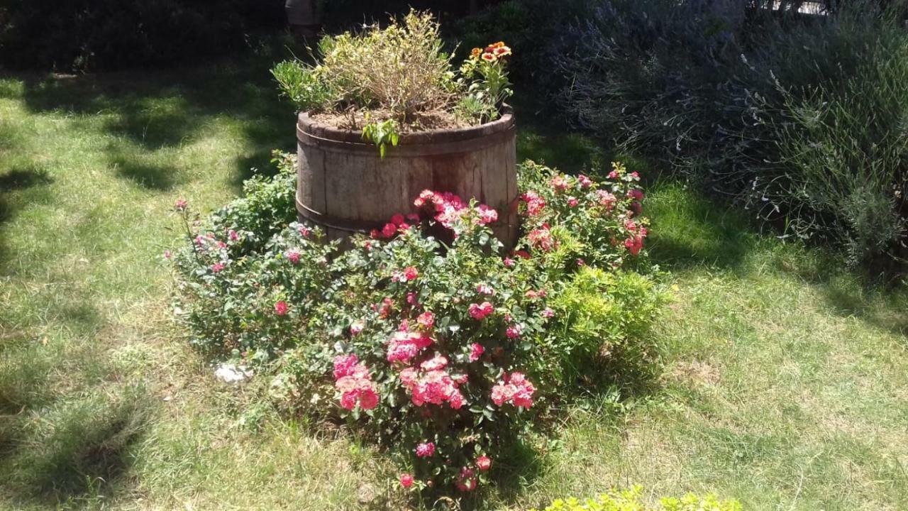 B&B Casa Losea Castello delle Forme Kültér fotó
